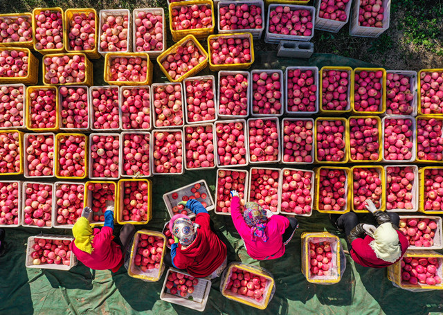 外眼看,护大河之洲引百鸟来栖