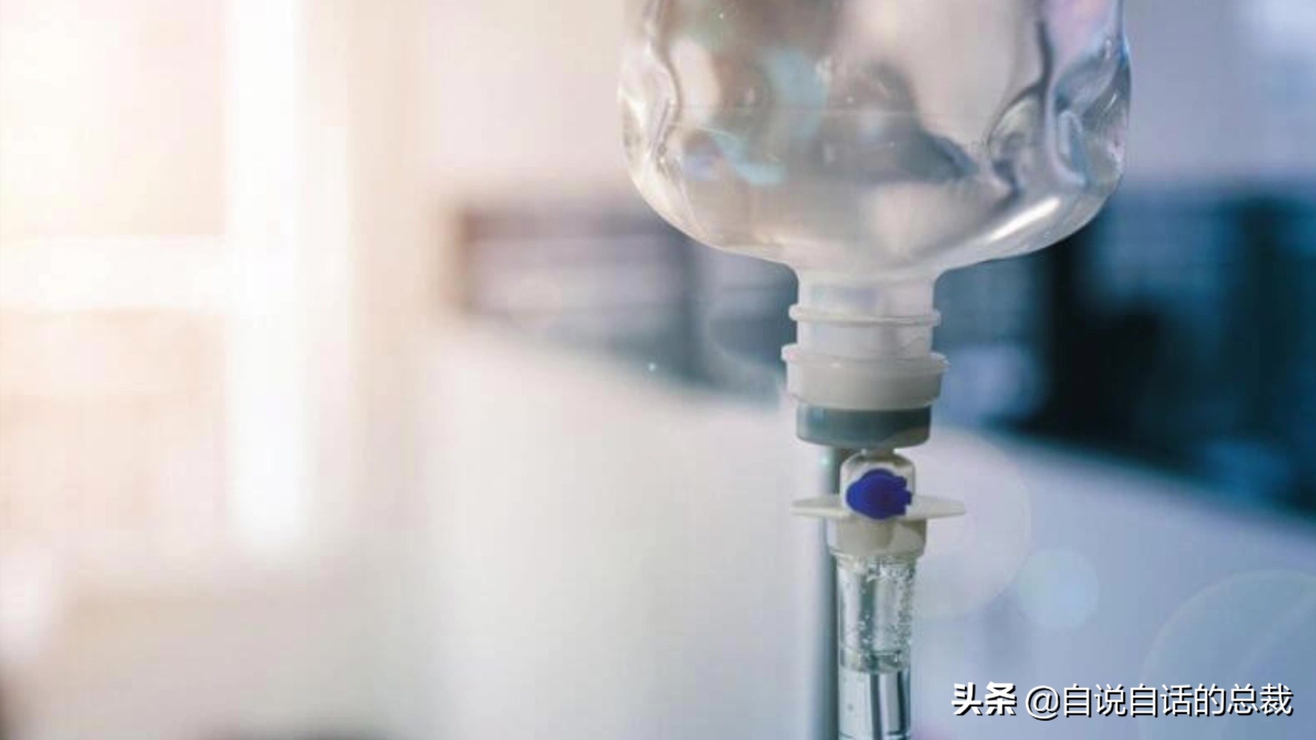 全世界的柠檬都读Lemon?这背后有一个刻在8号染色体上的上古故事