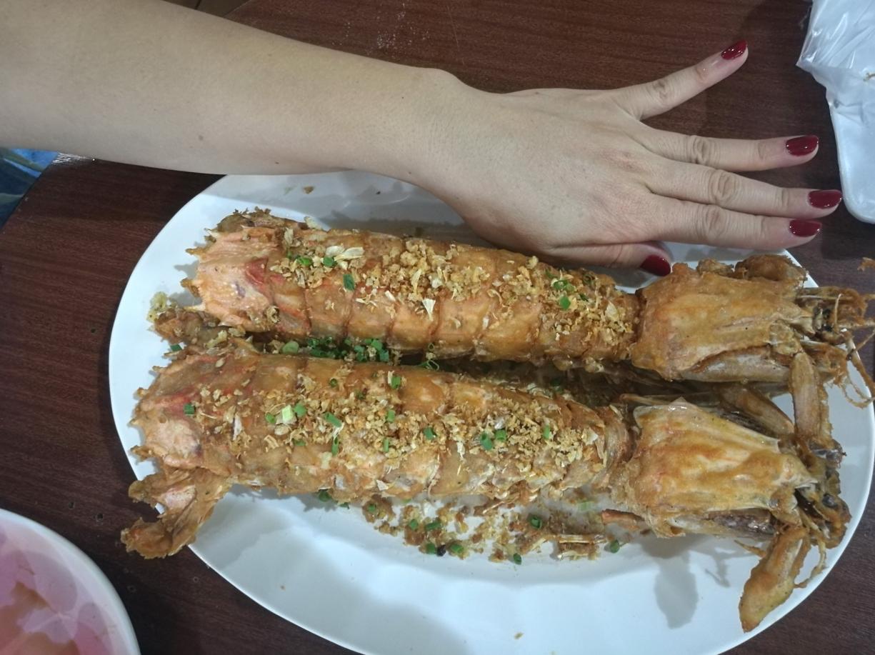 泰国普吉岛斯米兰岛旅游攻略,泰国旅游普吉岛的夏天皮皮岛浮潜