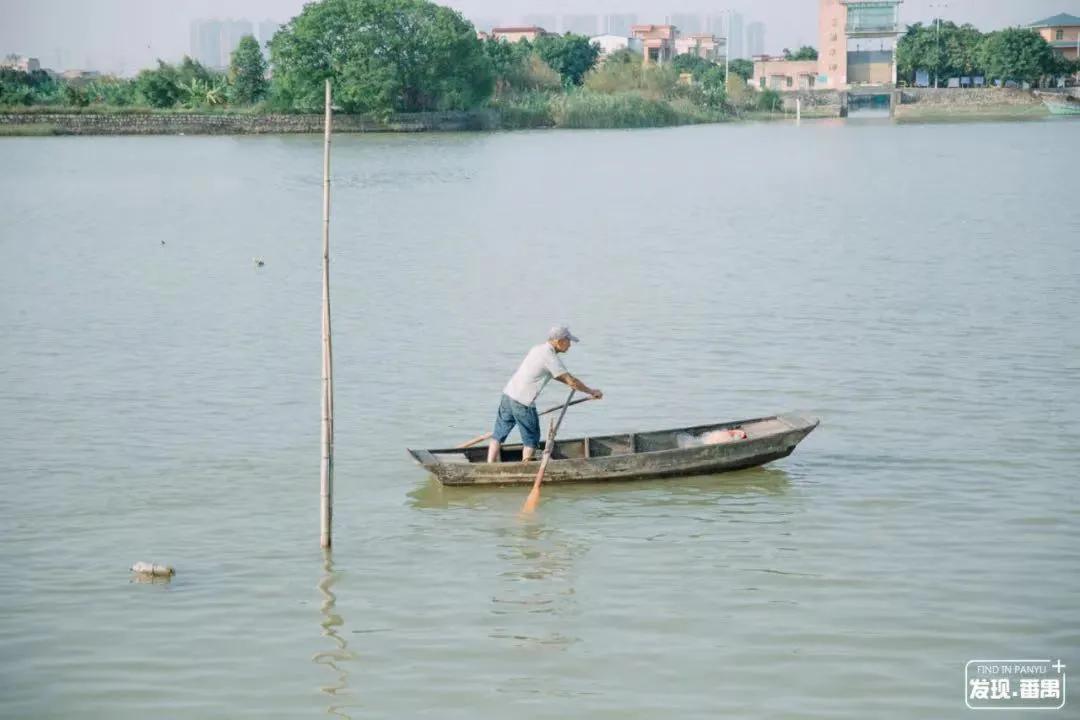 广州吃海鲜最便宜的地方2018年,广州的海鲜哪里又新鲜又便宜