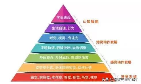 关于儿童自闭症的相关知识,自闭症相关的专业术语