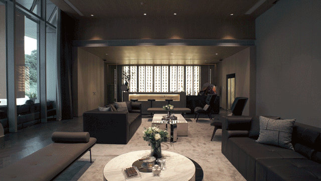 大卫杜夫2017,大卫杜夫2023庆典1号