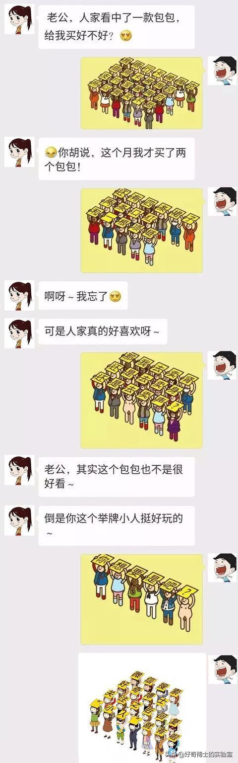 一只鸡难倒一群狗,一只鸡能有什么坏心思