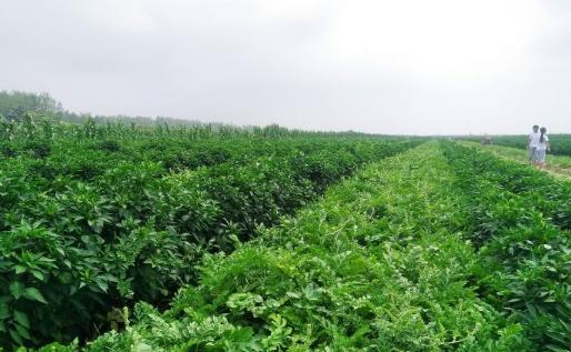 适合打工的创业方式都有哪些,如何月入过万无本钱创业22种方法