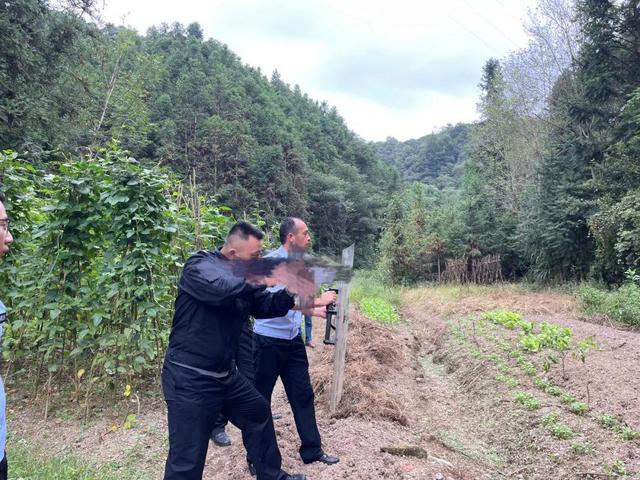 捕获80斤野猪,捕获了一头200公斤的大野猪