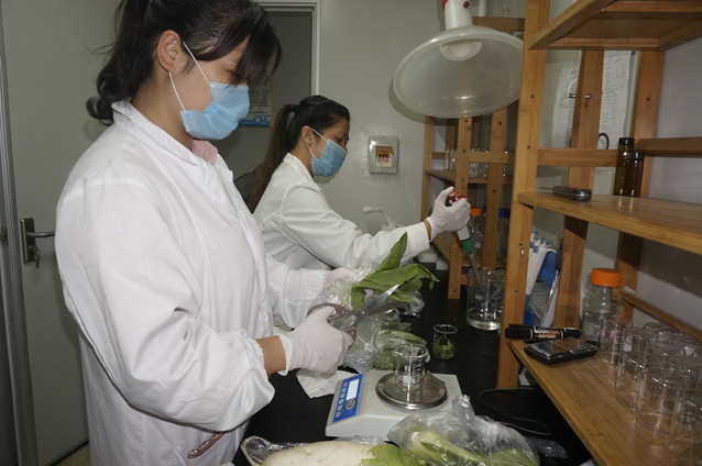 广西禾美农业有限公司,广西禾美生态农业