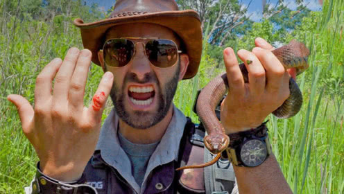 野外蛇视频真实动物世界,野外探险恐怖蛇