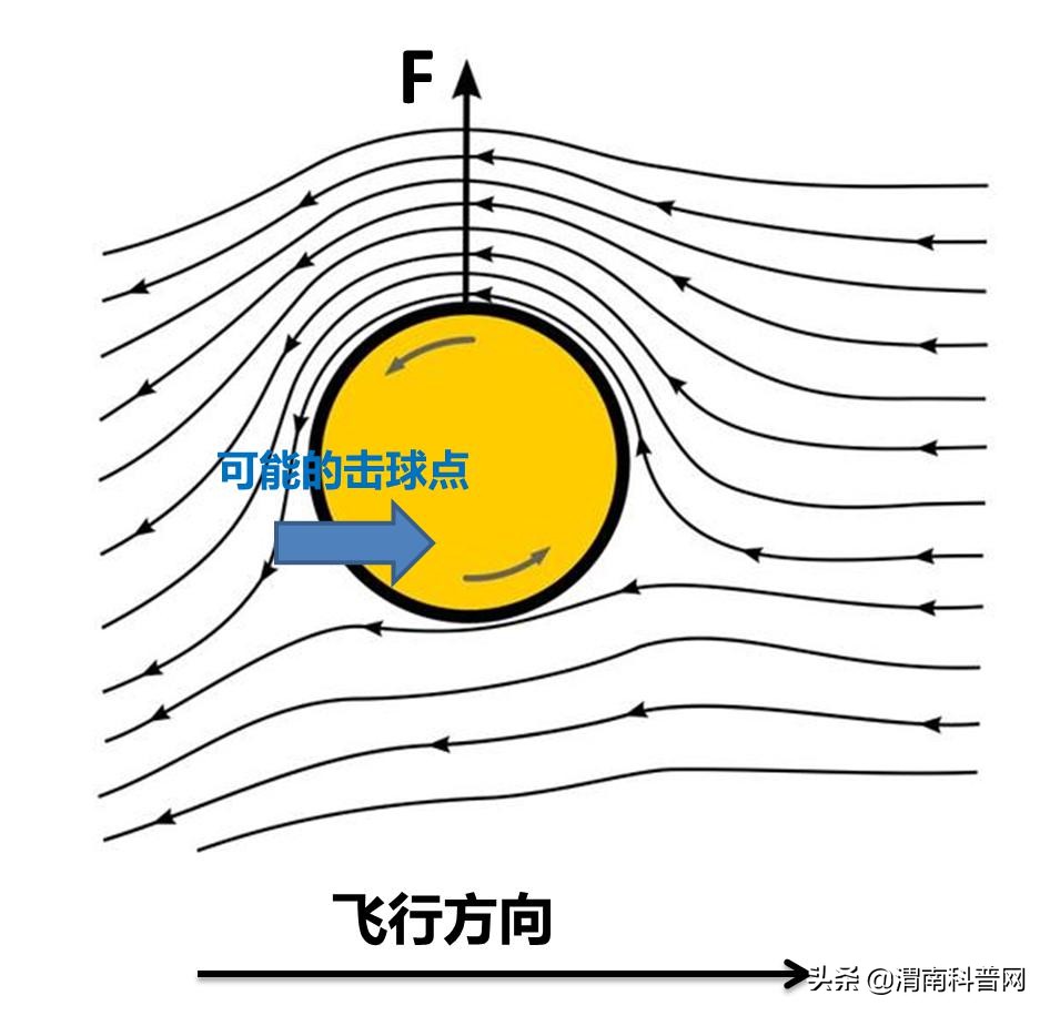 排球女排全胜夺冠视频,为什么排球可以提前夺冠