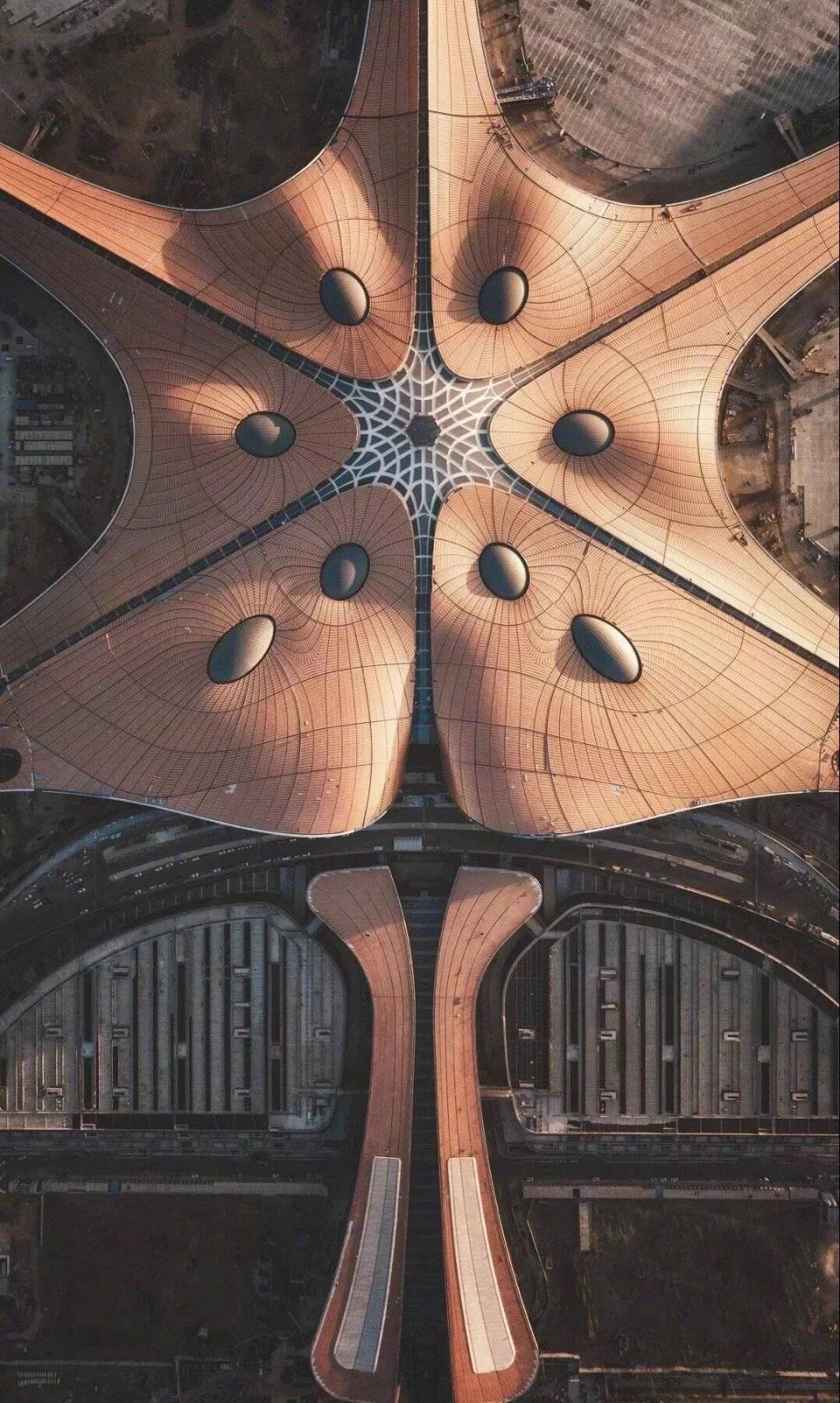 传疯了！北京第一美女找工作，简历惊呆全国！