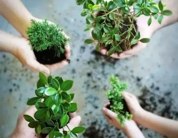 植树节播种绿色希望收获美好未来,植树节爱绿护绿文明有我