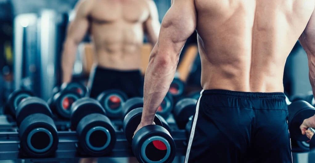 健身撸铁一天可以训练多少部位,健身撸铁会导致秃头吗