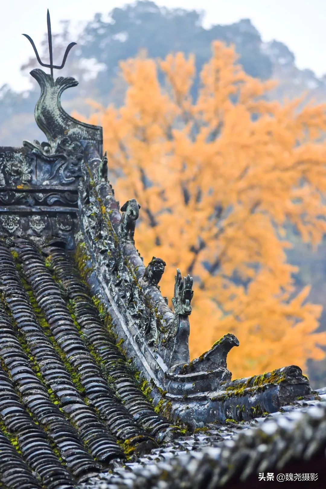 留坝秦岭之夜,留坝秦岭森林公园