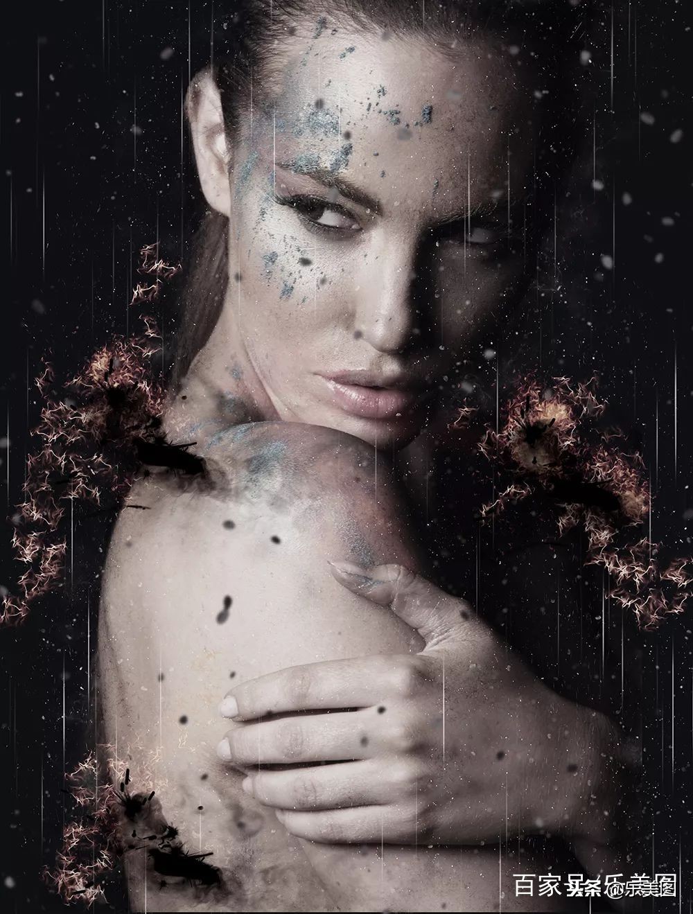 摄影师一凡先生,摄影师凡高