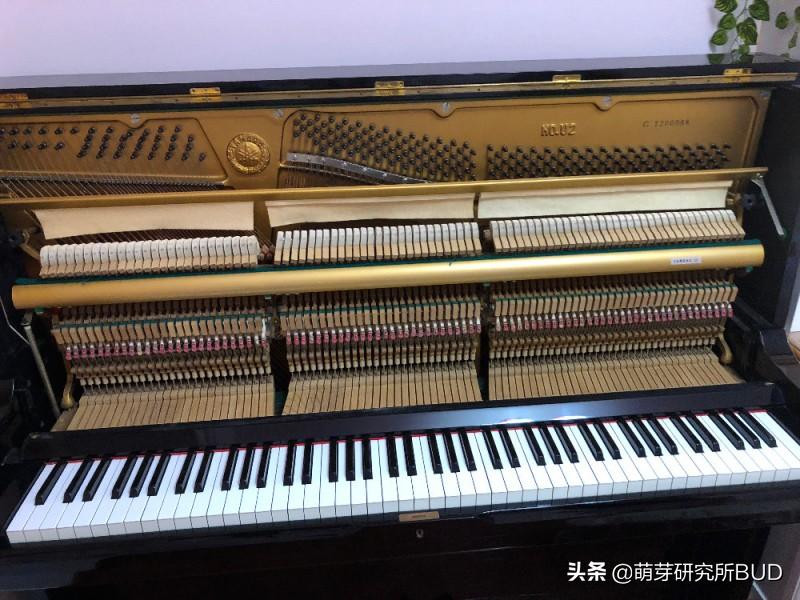 怎样挑选一架钢琴,钢琴入门如何挑选比较好的品牌