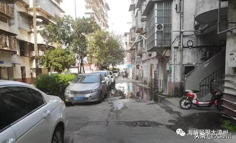 市区教师新村和水仙花园，是脱胎换骨啦！你家老旧小区呢？可留言晒图下