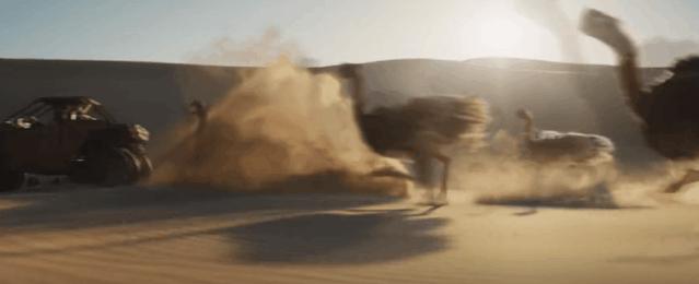 今年最燃电影,今年最劲爆电影