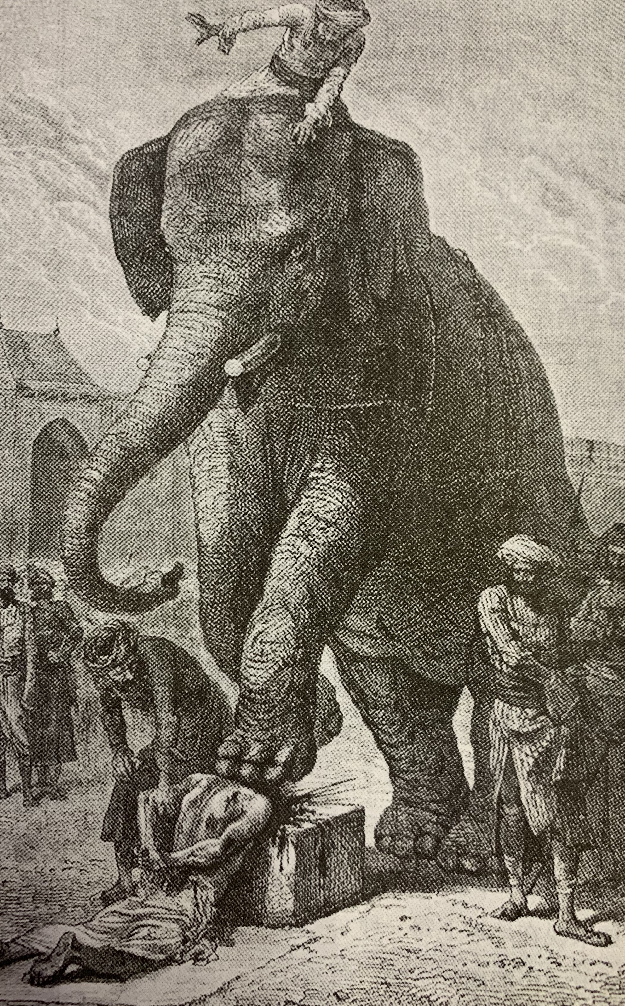 17世纪欧洲奇葩刑法,西方对付泼妇的刑法