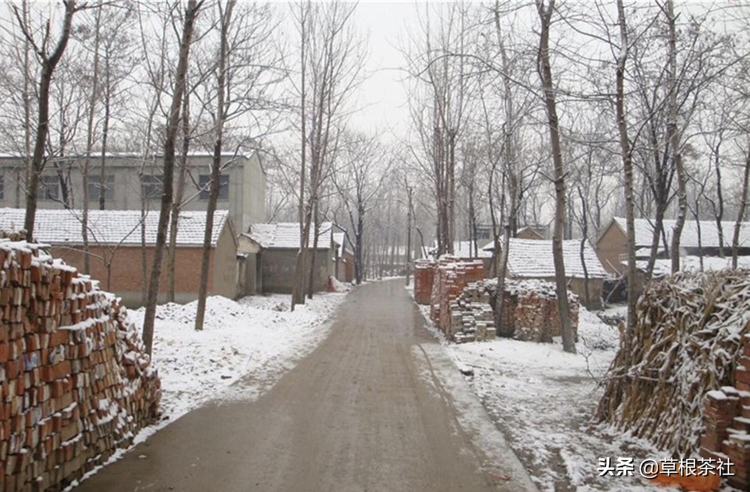 三十多岁找到亲生父母的姑娘,三十岁女孩寻找养父