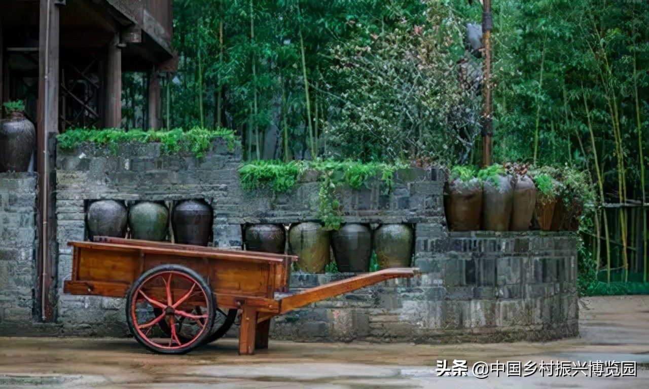 乡村振兴案例2021,乡村振兴案例2022