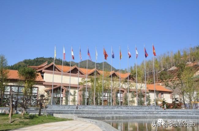 安顺组队参加第三届《金彩盘州杯》中国—东盟国际围棋邀请赛