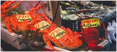 坐游轮去日本自由行攻略,日本自由行视频攻略