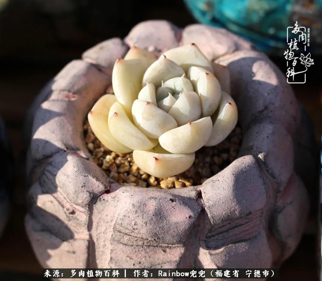 岁月无波澜余生不悲欢是啥意思,愿你岁月无波澜敬我余生无悲欢