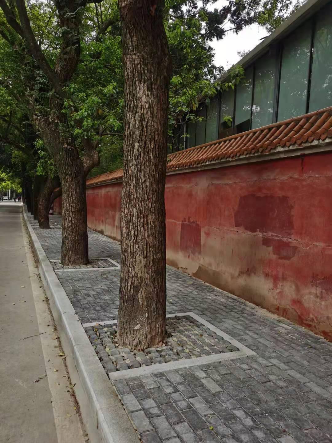 福州西禅寺外景,西禅寺飞檐翘角