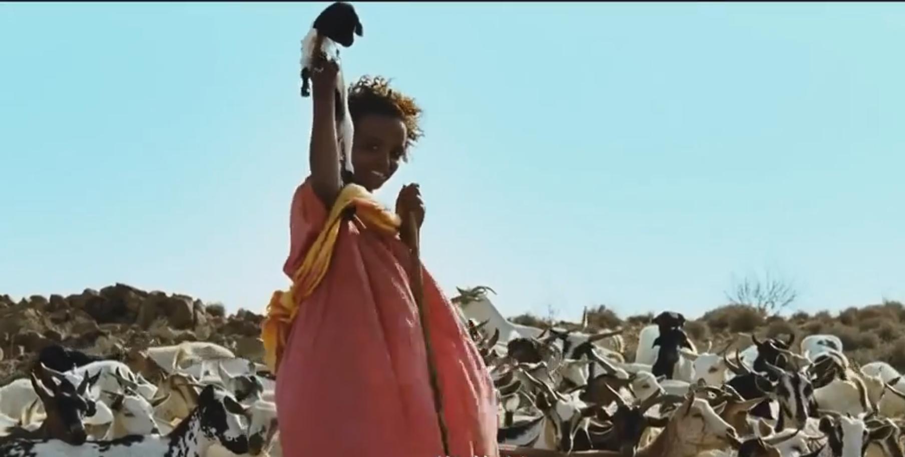 沙漠之花脱下黑袍,沙漠之花带来的改变