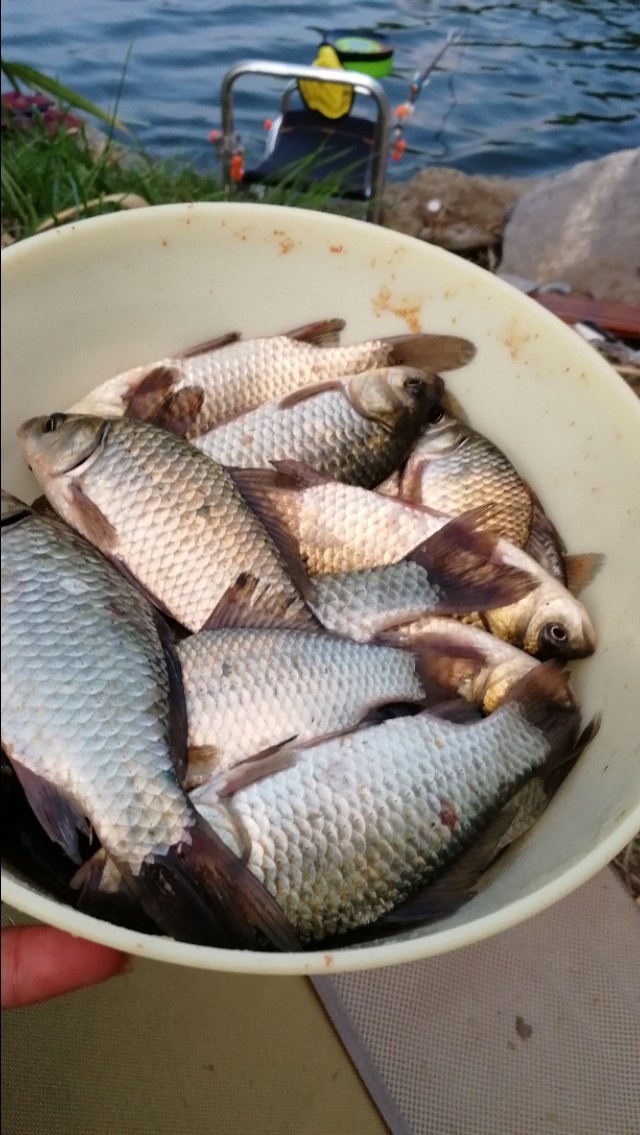 硬尾漂和软尾漂哪个抗风浪,硬尾和软尾漂的区别