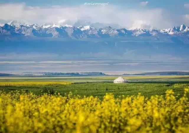 这就是昭苏，万物复苏的地方