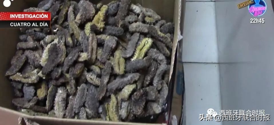 潜水捕捞卖海参骗局,海参倒卖最新案例