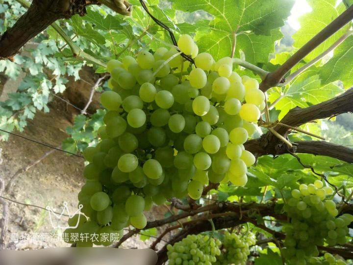 十一天津唐山周边亲子游,五一唐山天津周边游