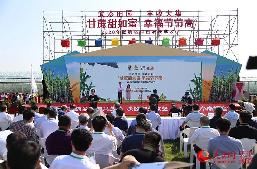 央媒集体点赞,央视新闻联播点赞9万亩小麦