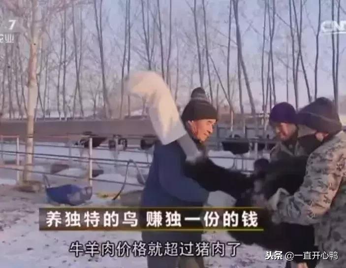 致富经节目现在怎么样了,致富经里的节目真实吗