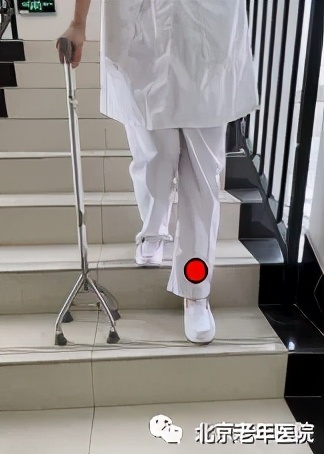 老年人手杖使用操作流程,可以防止老年人跌倒的工具