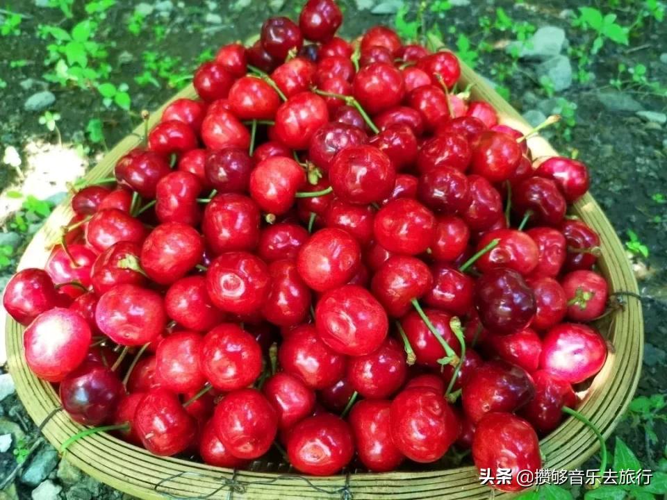 四川阿坝我的家乡,我的家乡汶川特色美景
