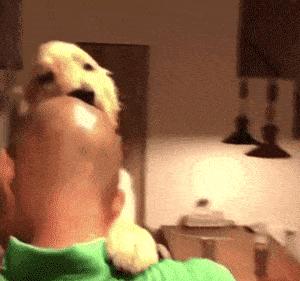 徐峥郭冬临假发,光头郭冬临徐峥