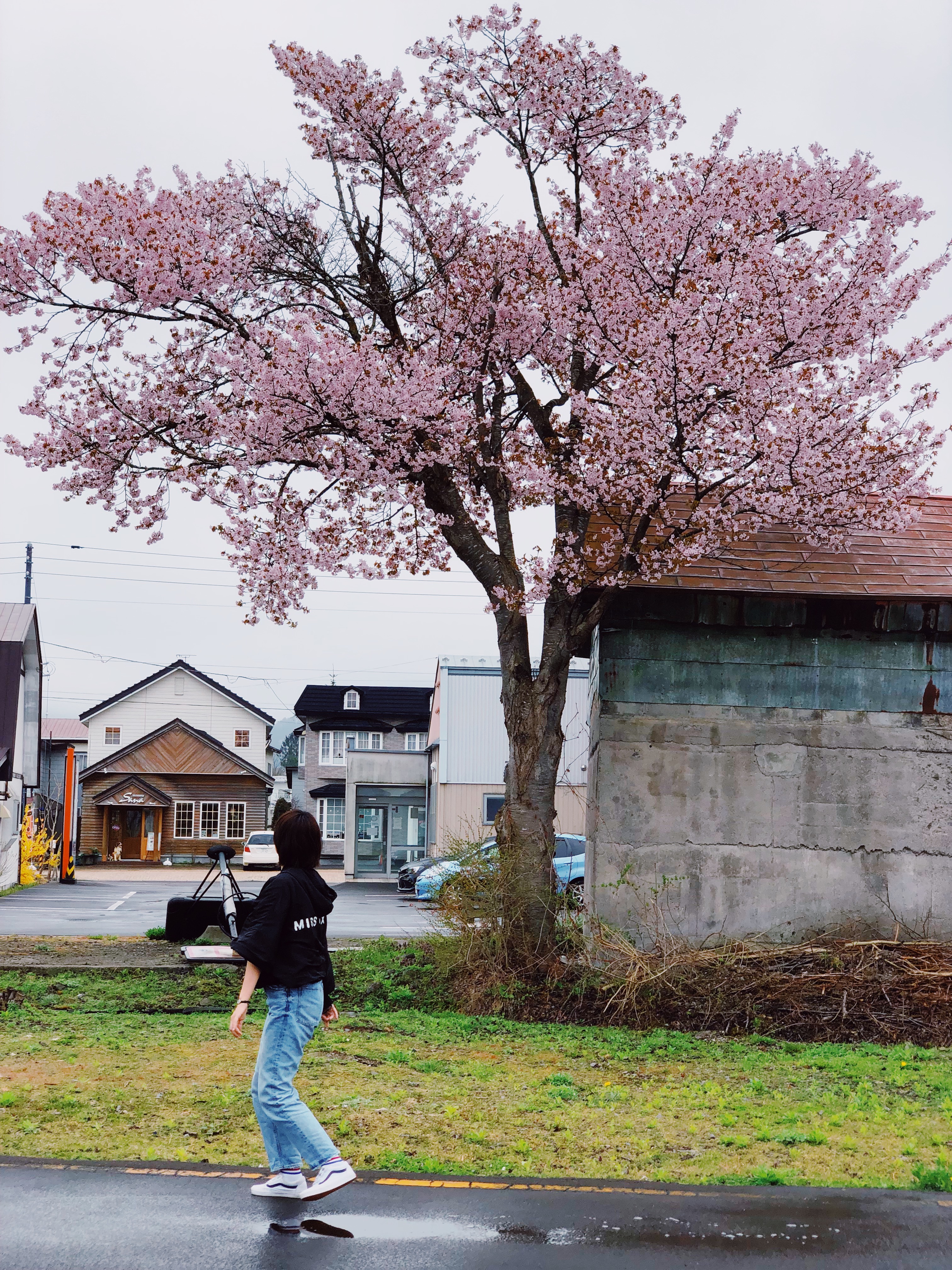 和老人小孩一起旅游,八天七晚豪华游轮旅游
