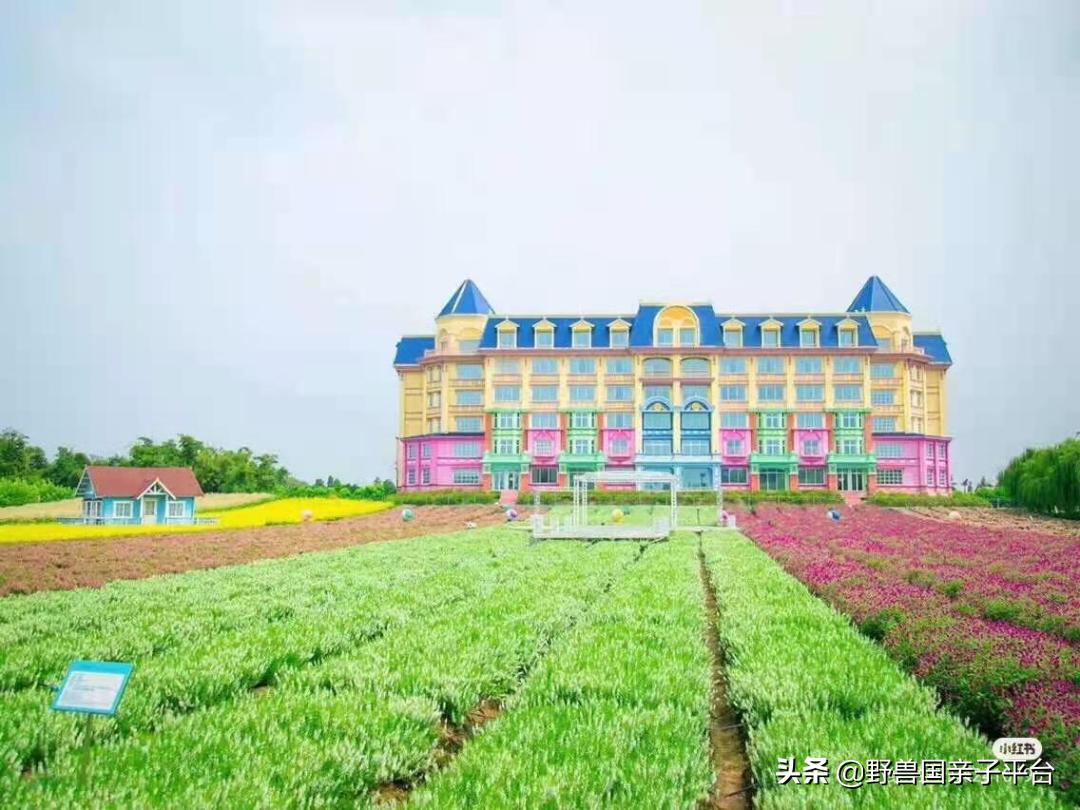 广州遛娃旅游推荐路线攻略,广州遛娃清单升级版