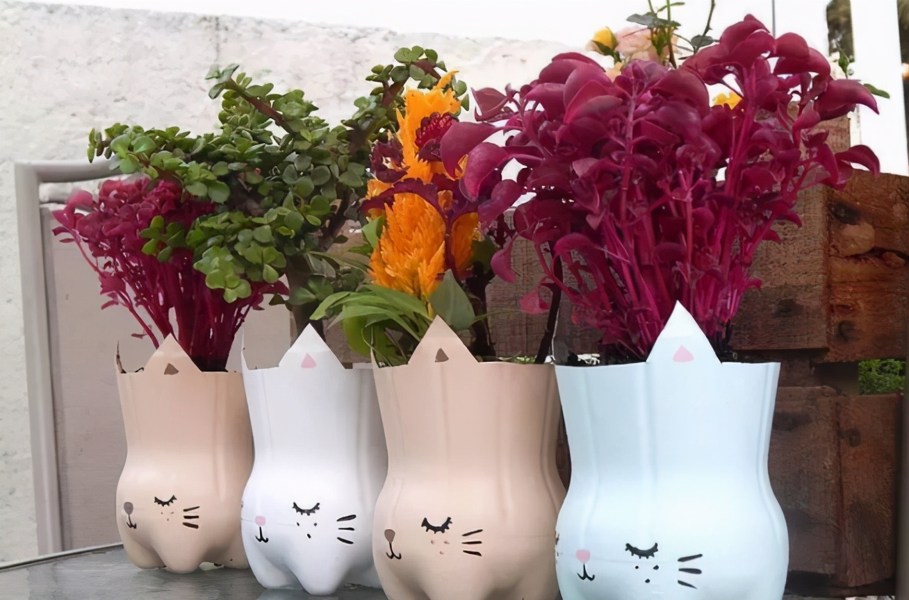 实用扦插教学让植物一盆变多盆,容易扦插成活的盆栽植物