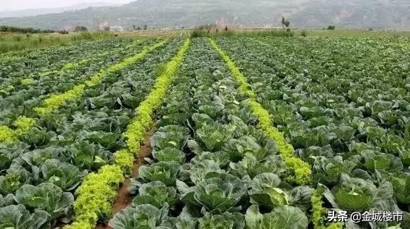 兰州东部科技新城发展规划,2022年兰州东部科技新城规划