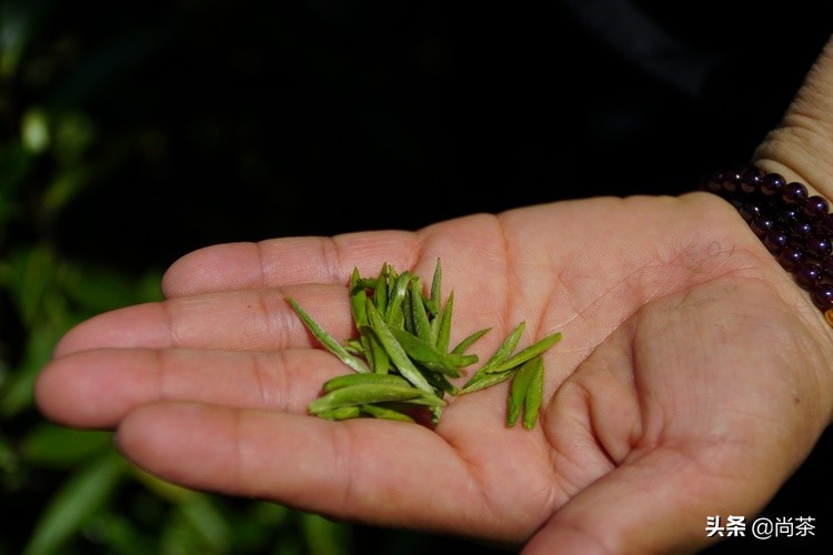 都说它是红茶中的黑马?