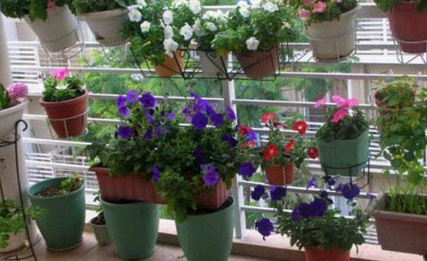 土养花如何杀虫杀菌,养花的土壤怎么样才能杀菌杀虫