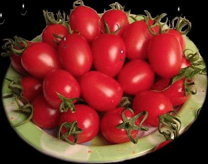 医生的十条建议,医生的建议动画版