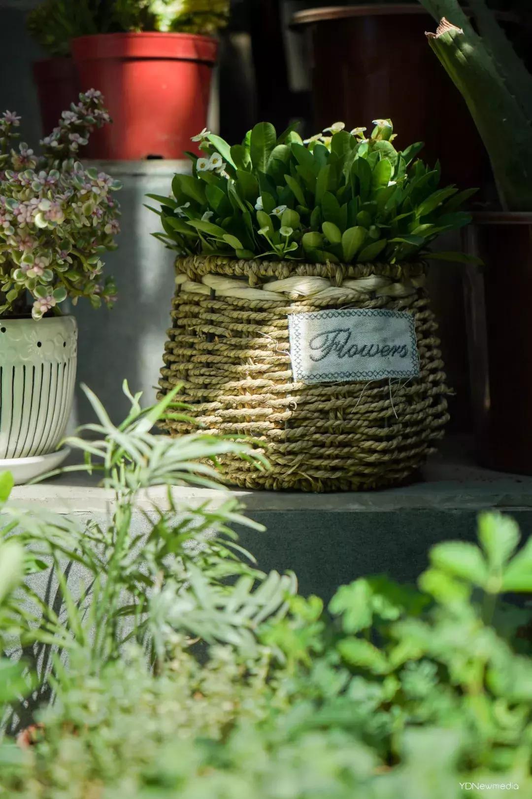 武汉哪个市场鲜花最便宜,武汉最便宜的鲜花批发市场