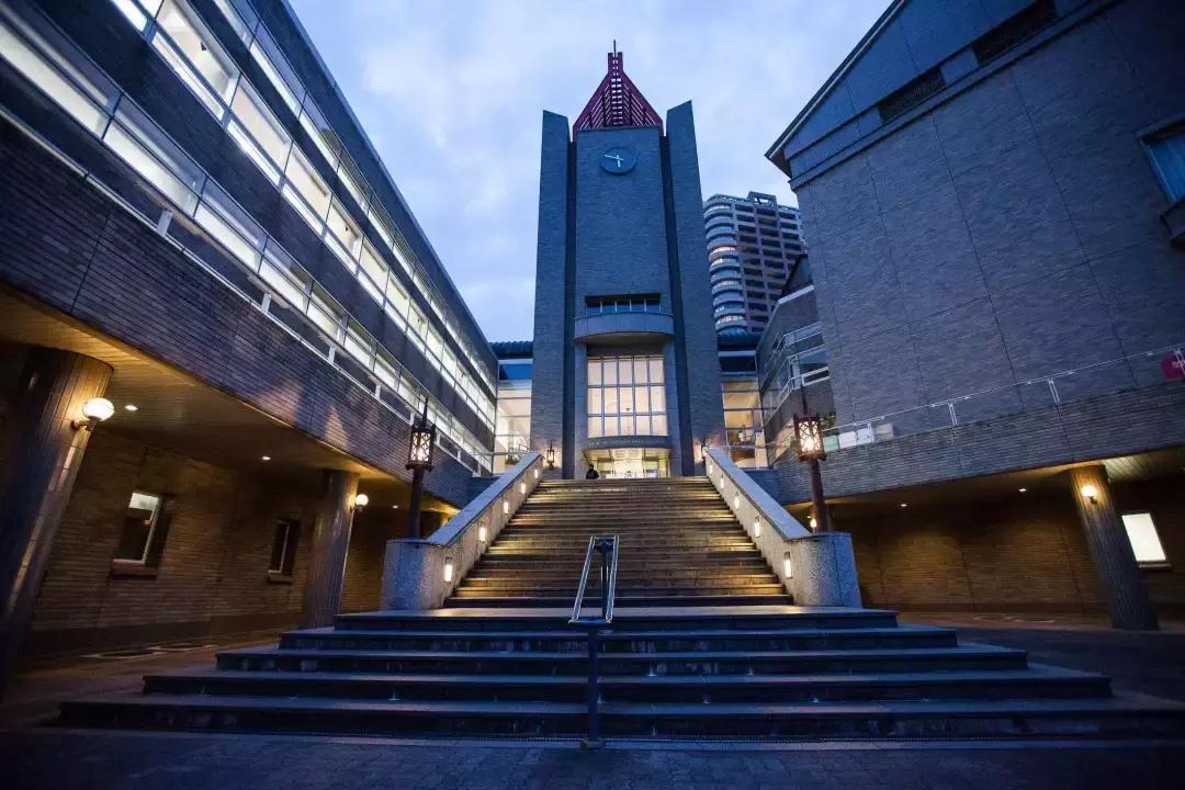 龚曙光专访完整视频,龚曙光鸟命