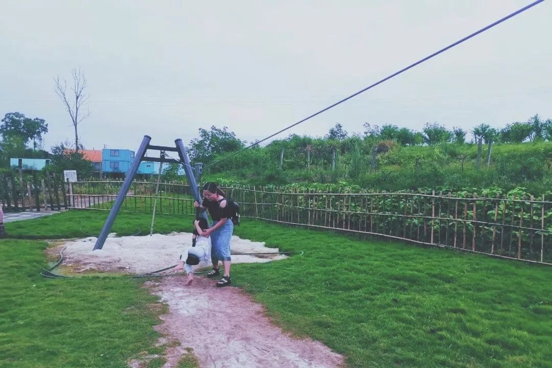 田园风光稻田帐篷,稻田星空露营基地