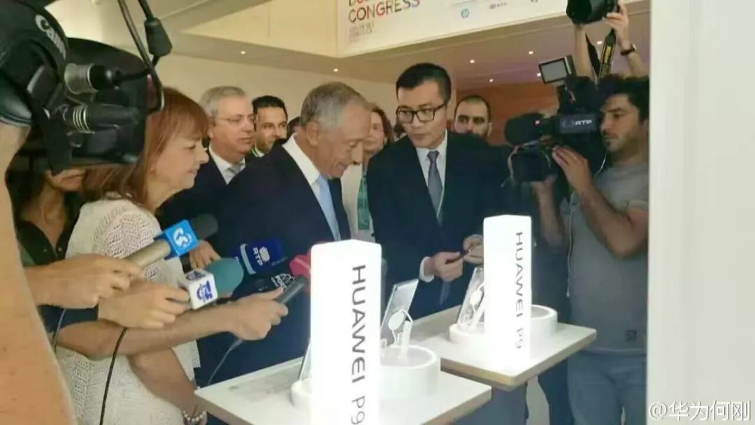 国外黄牛出售,国外黄牛和中国黄牛