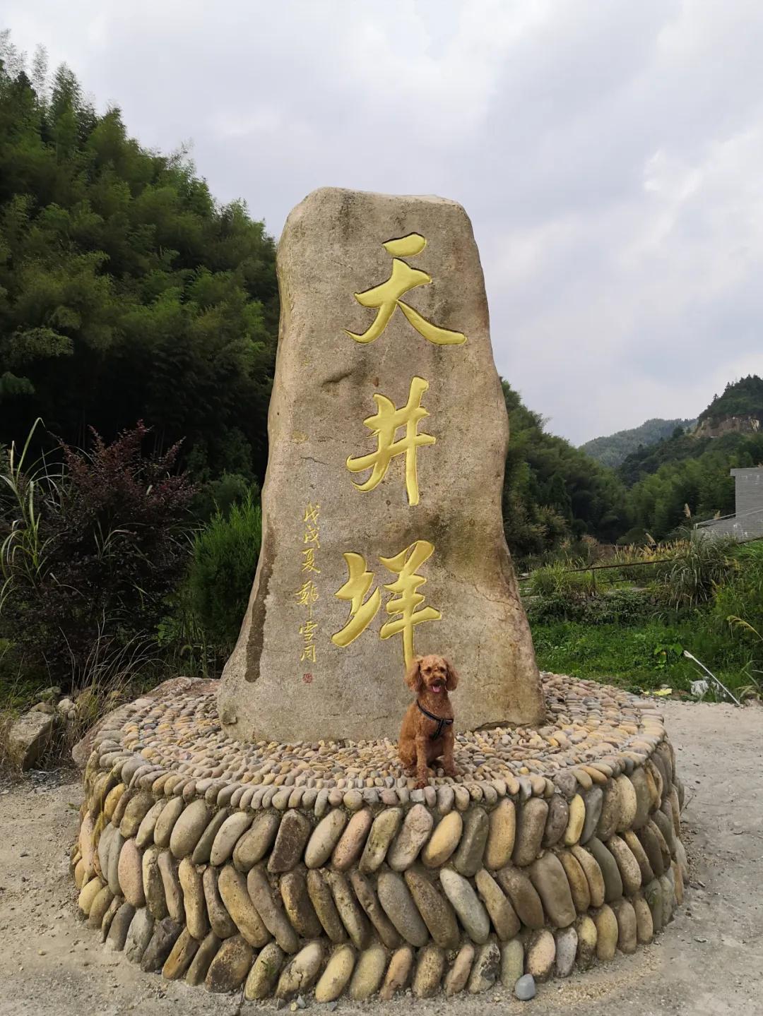 我要去旅行英文,我要去旅行完整版