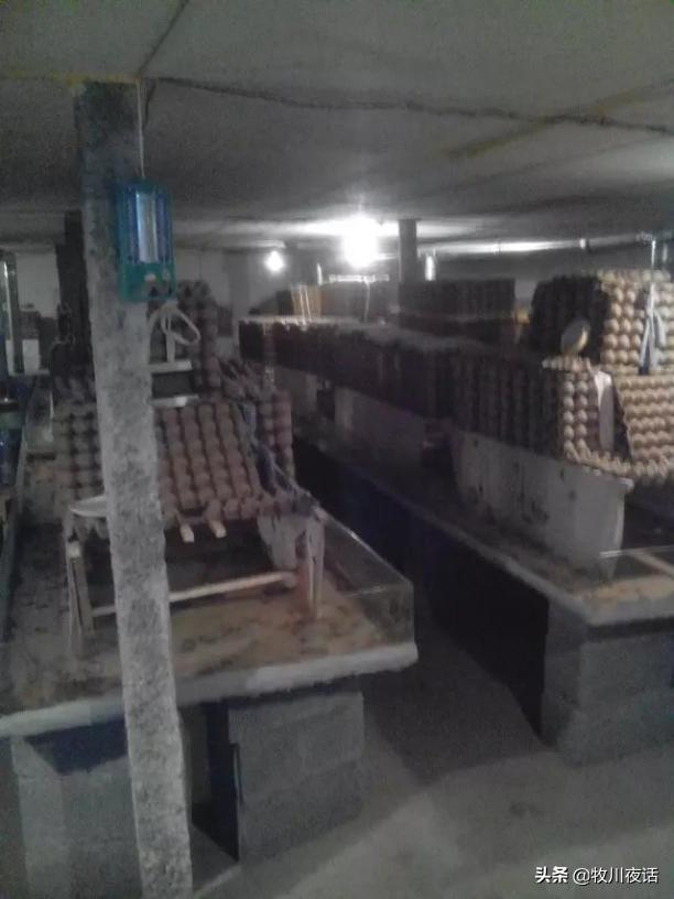 蝎子养殖一年真能赚三十万,蝎子养殖赚钱是真的吗